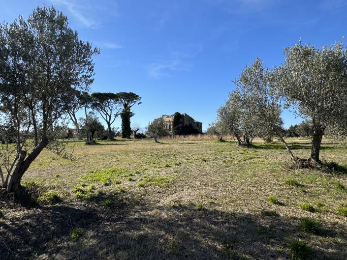 Image No.20-Land for sale