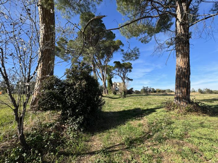 Image No.24-Land for sale