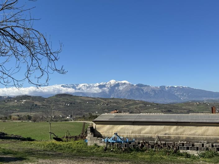 Image No.41-6 Bed Farmhouse for sale