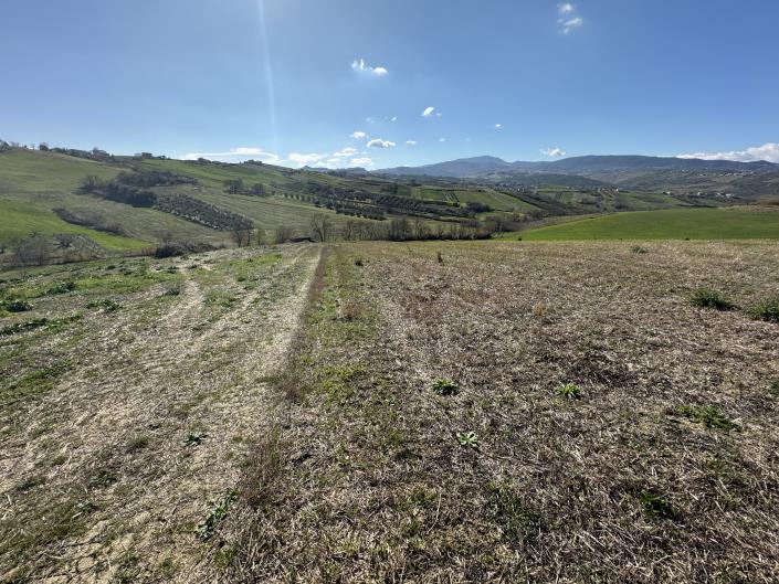 Image No.55-6 Bed Farmhouse for sale