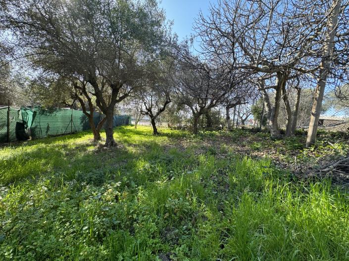 Image No.45-3 Bed House for sale