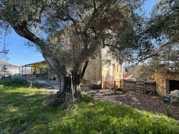 Image No.49-3 Bed House for sale