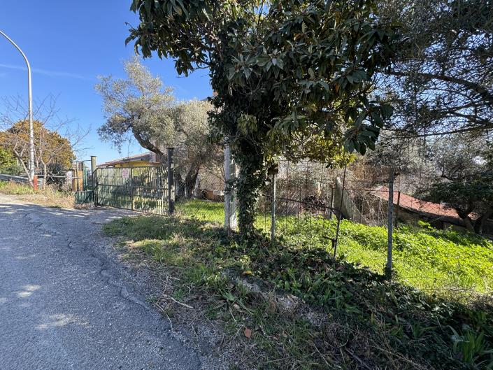 Image No.51-3 Bed House for sale