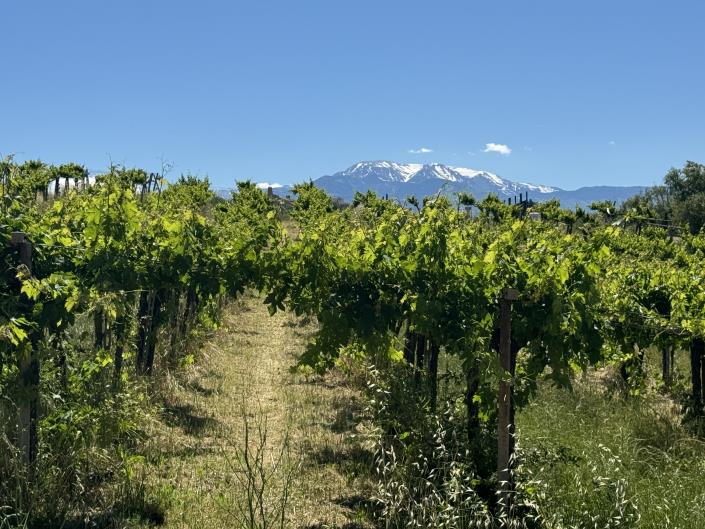 Image No.3-Studio for sale