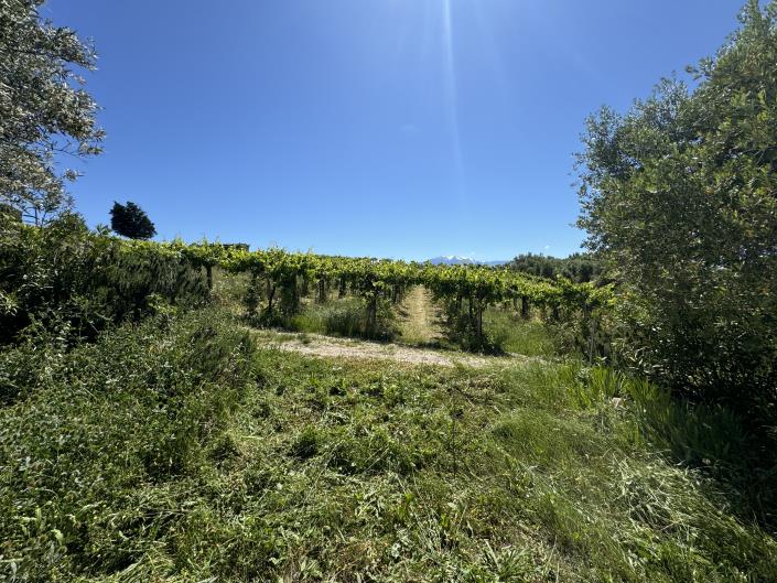 Image No.14-Studio for sale