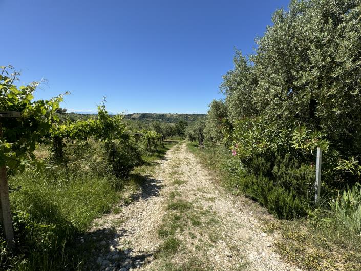 Image No.15-Studio for sale