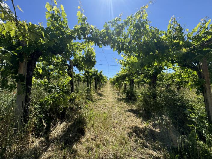 Image No.16-Studio for sale