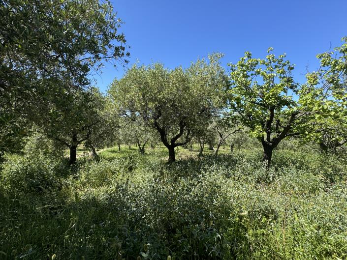 Image No.18-Studio for sale