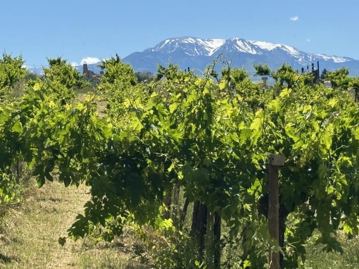 Image No.22-Studio for sale