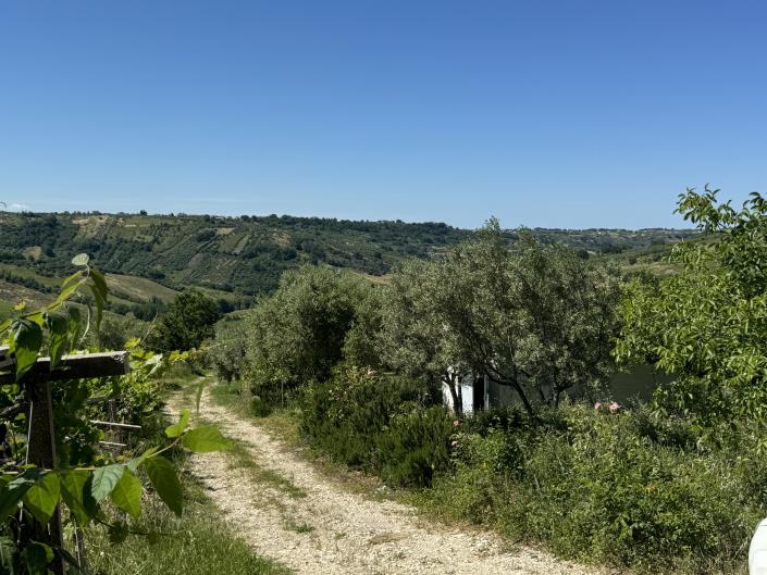 Image No.24-Studio for sale