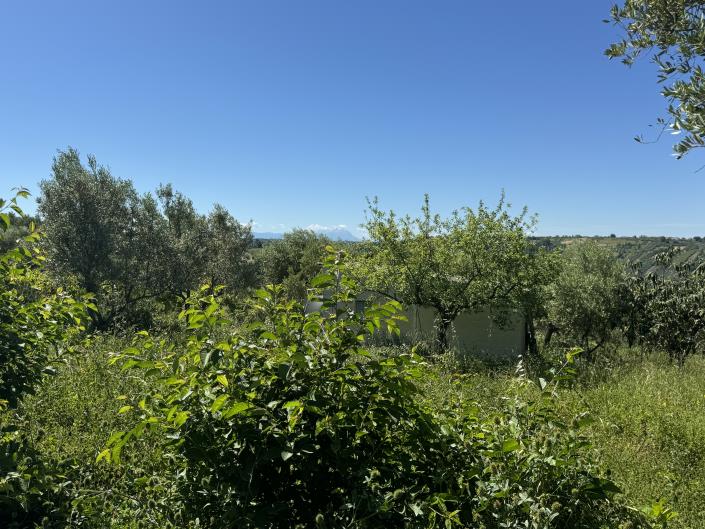 Image No.25-Studio for sale