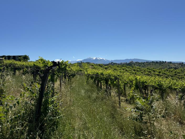 Image No.26-Studio for sale