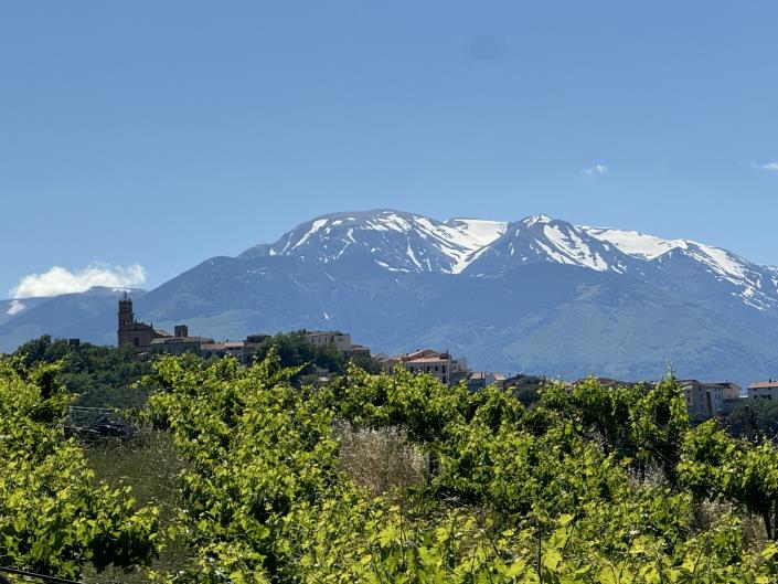 Image No.27-Studio for sale