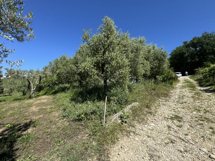 Image No.30-Studio for sale