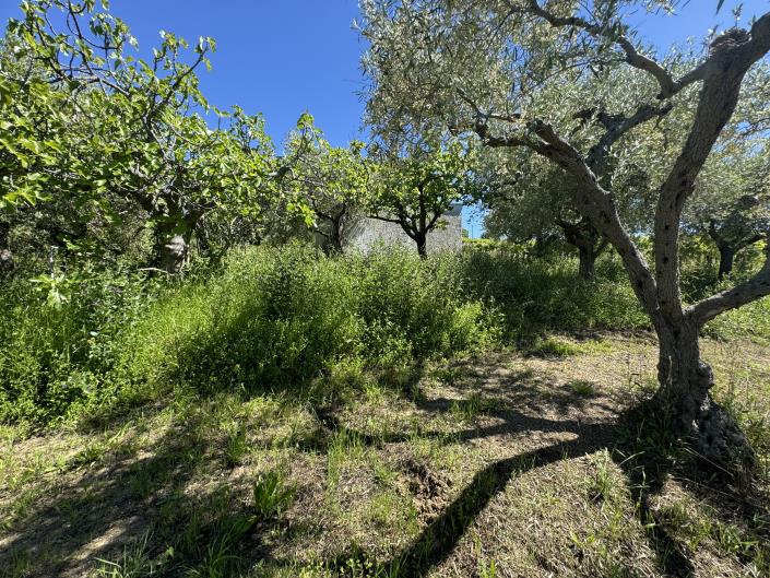 Image No.31-Studio for sale