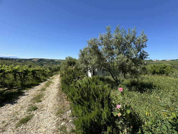 Image No.33-Studio for sale