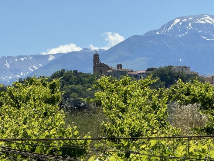 Image No.34-Studio for sale