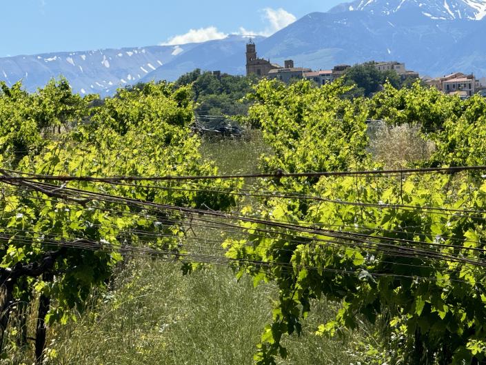 Image No.35-Studio for sale