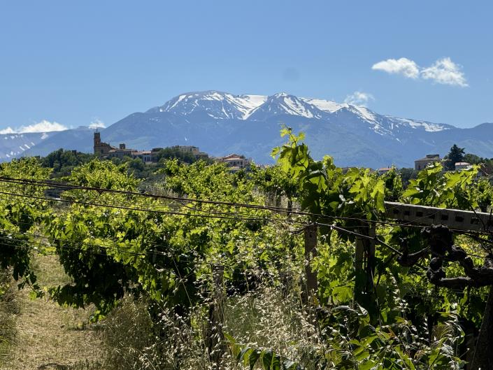 Image No.40-Studio for sale