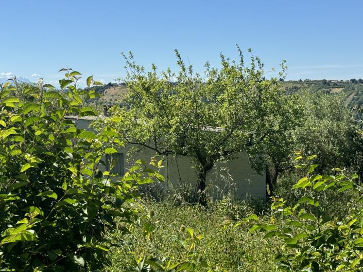 Image No.41-Studio for sale