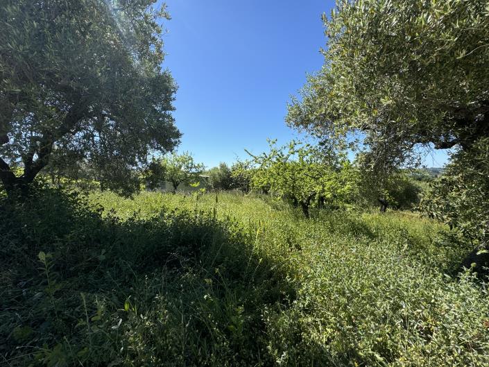 Image No.42-Studio for sale