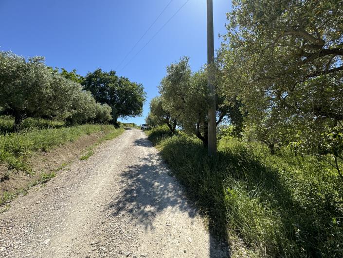 Image No.43-Studio for sale