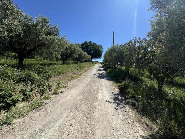 Image No.44-Studio for sale