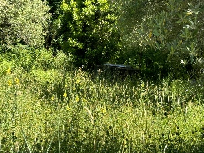 Image No.46-Studio for sale