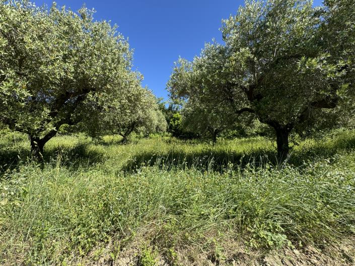 Image No.47-Studio for sale