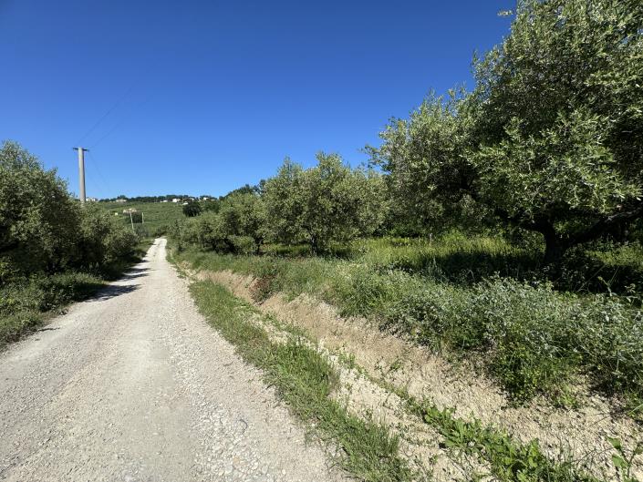 Image No.48-Studio for sale