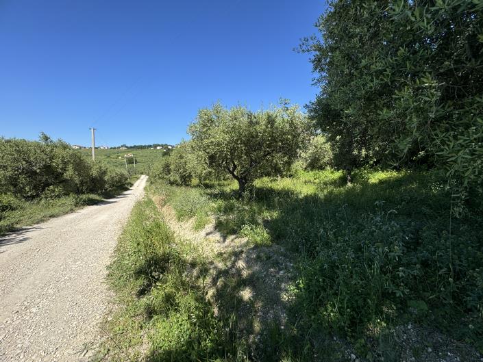 Image No.49-Studio for sale