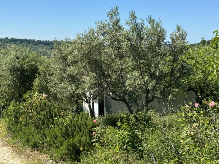 Image No.51-Studio for sale