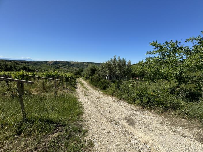 Image No.52-Studio for sale