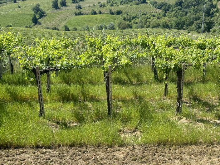 Image No.26-3 Bed Villa / Detached for sale