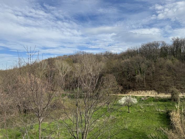 Image No.6-2 Bed House for sale