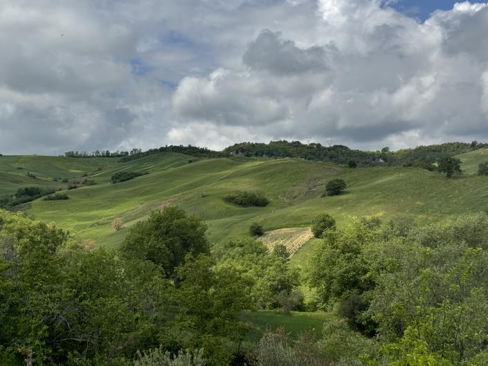 Image No.18-House for sale