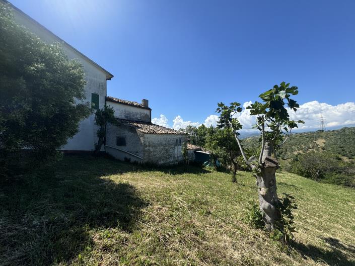 Image No.46-3 Bed Farmhouse for sale