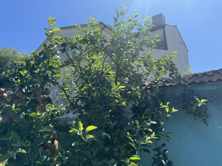 Image No.51-3 Bed Farmhouse for sale