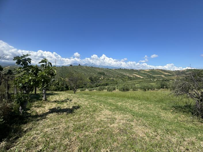 Image No.53-3 Bed Farmhouse for sale