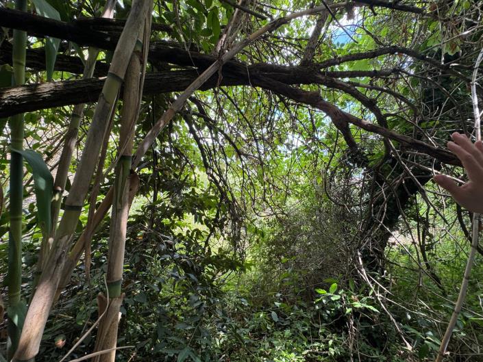 Image No.36-2 Bed Village House for sale