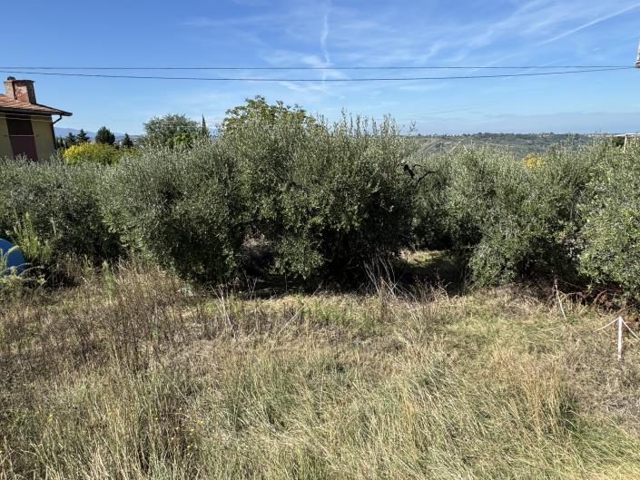 Image No.10-House for sale