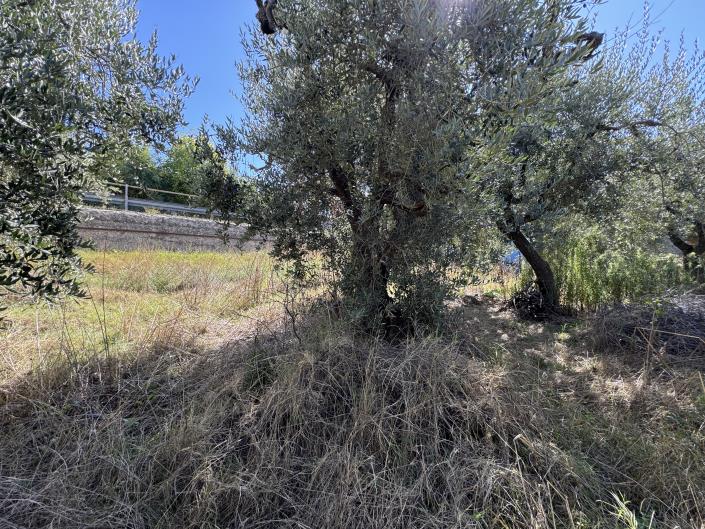 Image No.42-House for sale