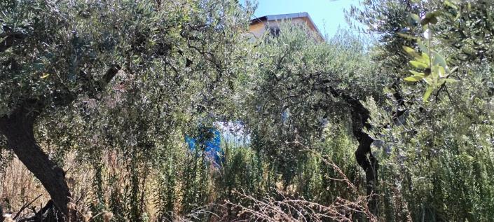 Image No.8-House for sale