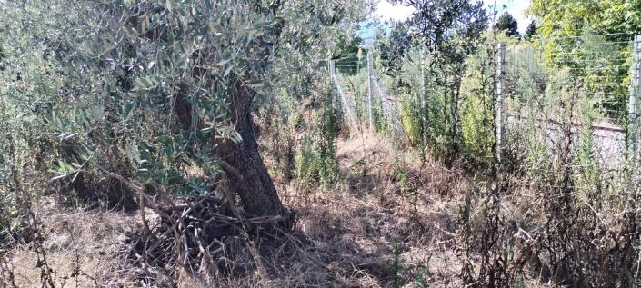 Image No.7-House for sale