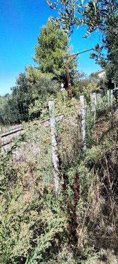 Image No.9-House for sale