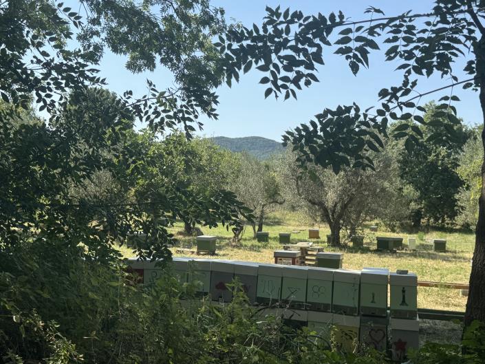 Image No.4-4 Bed Country Property for sale