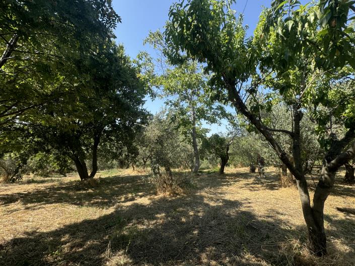 Image No.54-4 Bed Country Property for sale