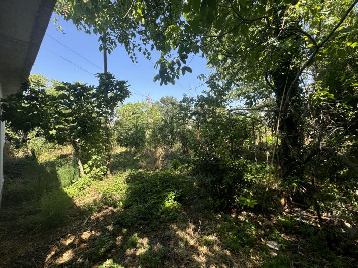 Image No.56-4 Bed Country Property for sale