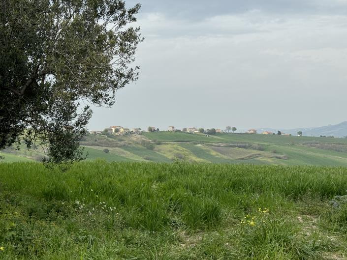 Image No.4-Country House for sale