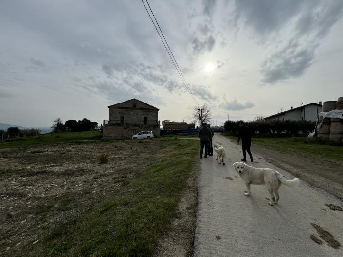 Image No.12-Country House for sale